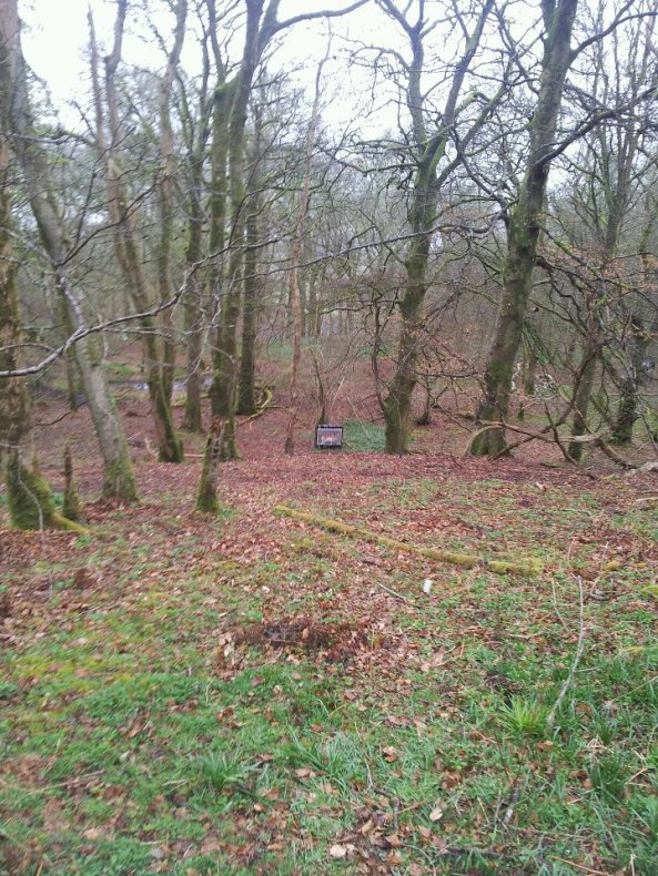 Scottish Champs - first target on first day