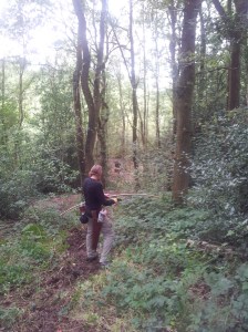 Bob Shooting 3d Deer