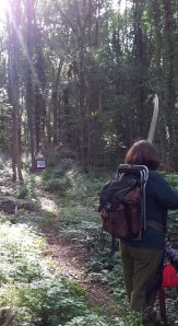 Second target on the day 