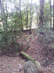 Paper face fox target