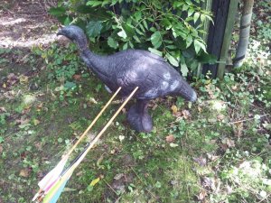 Managed a 24 on a 3D turkey