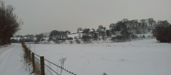 snowy field