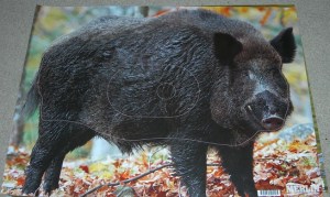 Target face - merlin boar