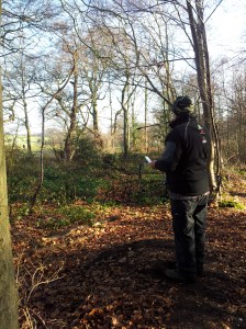 Paper Crocodile shot