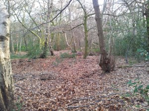 target 14 - last of day