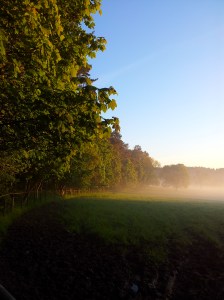 Sunrise on a new year