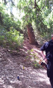 Photo from Y course - thanks to Sharon