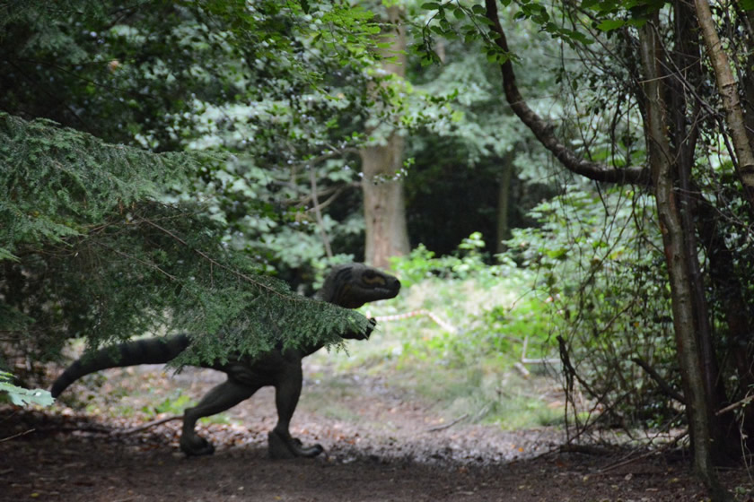 2013 NFAS Nationals B course sunday first target