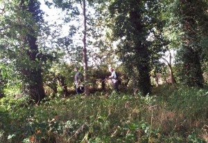 archers in the woods