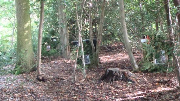 A different kind of shot