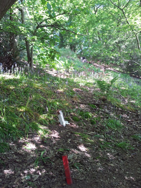 View from the red peg