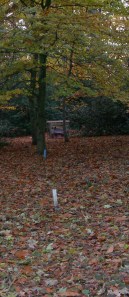 First view from Red peg