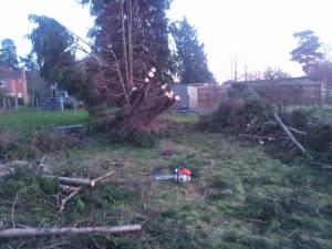 The tree after 4 hours of work.