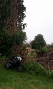 From the other side - the black plastic covers a target