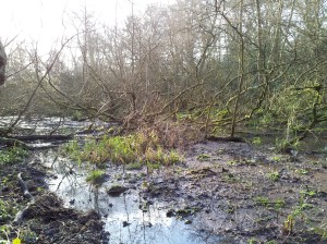 Slightly less water now