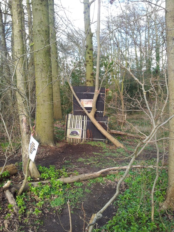 Elevated shot for adults