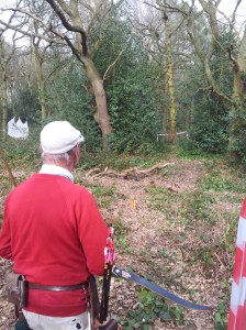3D beaver set in wood pile.