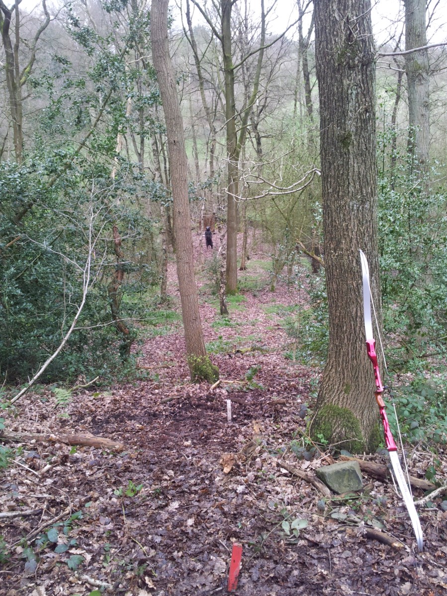 3d bear at wolverine