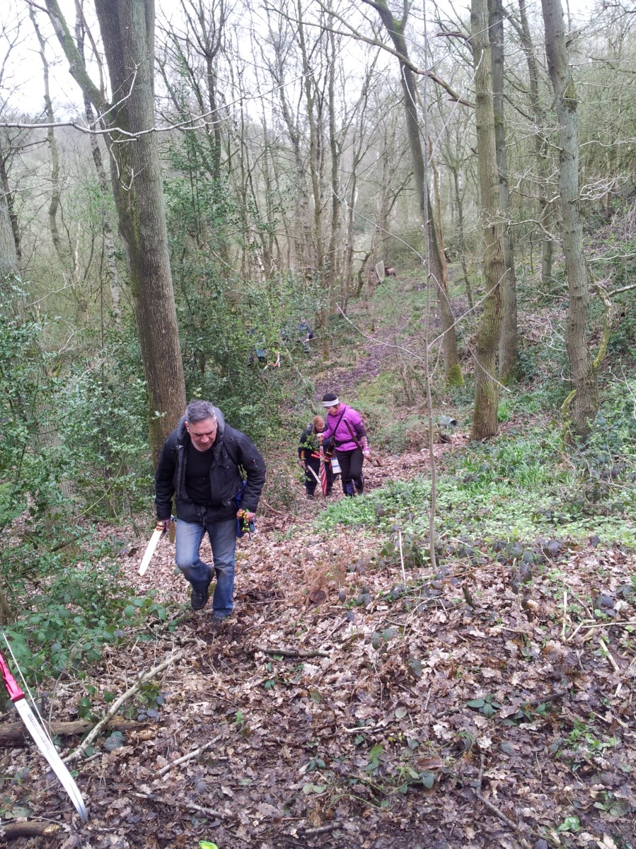 wolverine shooting group as we trekked up the hillside