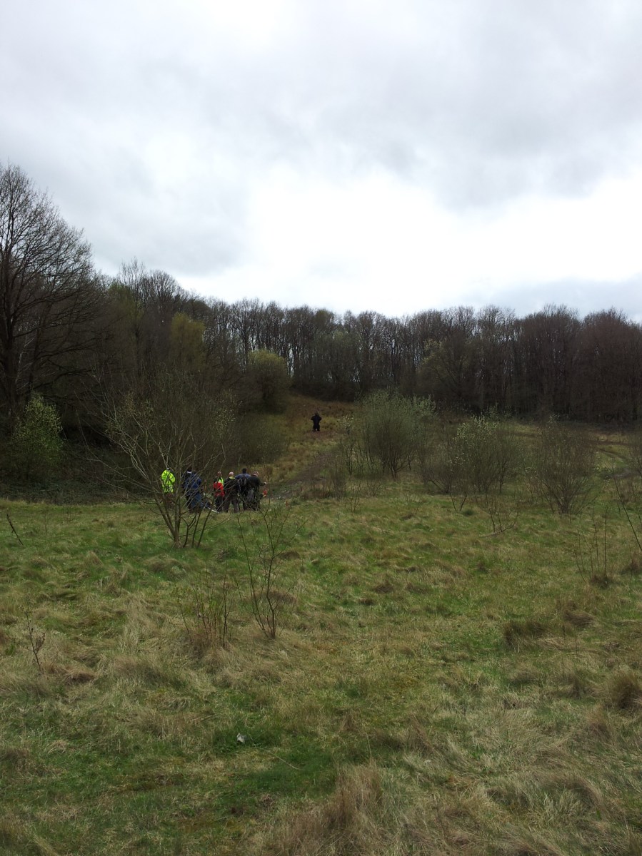 Kong from a distance