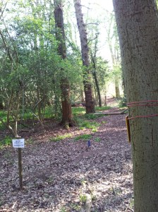 Double Deer shot on B course, but only back one scores.