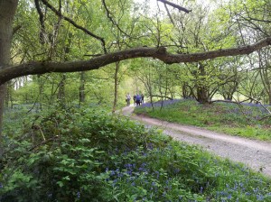 Archers at LEFA shoot