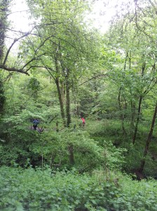 Lyme Valley May 2014 practice area