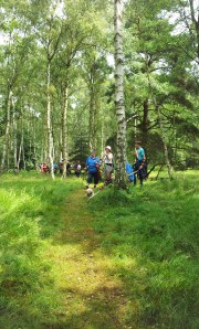 Saturday - view of the group