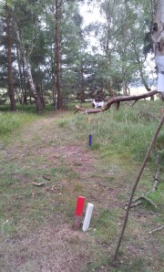 Robo Deer from the peg