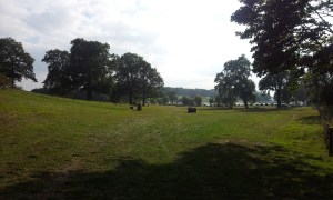 B course - views across the fields