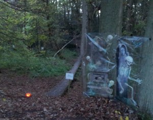 Entrance to the wood as dusk falls