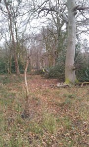 Paget marshals sheltering from cold