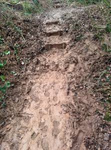 Muddy Path
