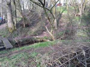 3D fish was our last target of the day.