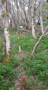 First target of theday