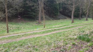 3D deer shot at Highcross