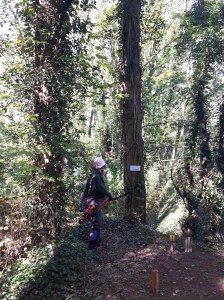 Sharon shooting across hollow