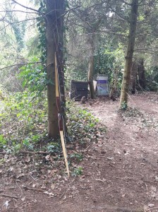 Last target of the day