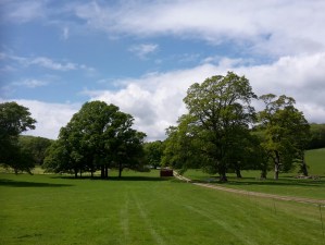 Flete Estate - 3D champs 2015