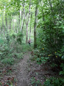 B course - long distance 3d boar target - Kate having to go to the blue peg
