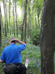 B course - 3d mountain lion between the trees