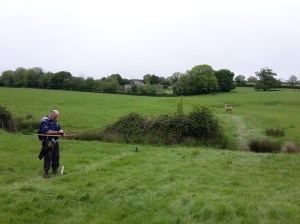 A course - the 3D deer in the open