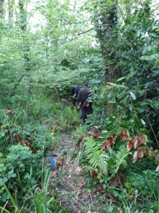 Target 1 - A Course - between the trees