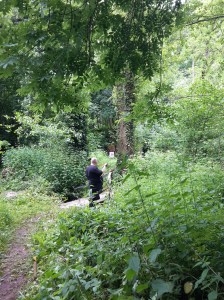 One of the harder shots