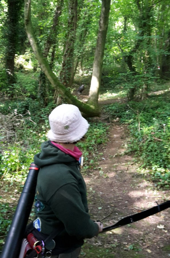 Sharon shooting 3D owl between trees