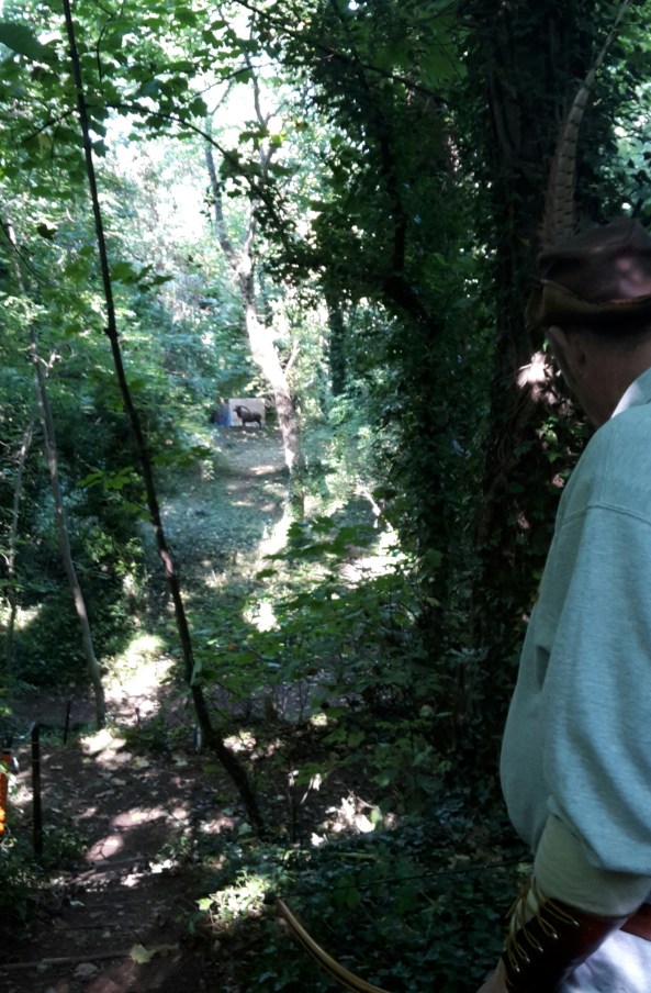 Long ram off the top of the hillside