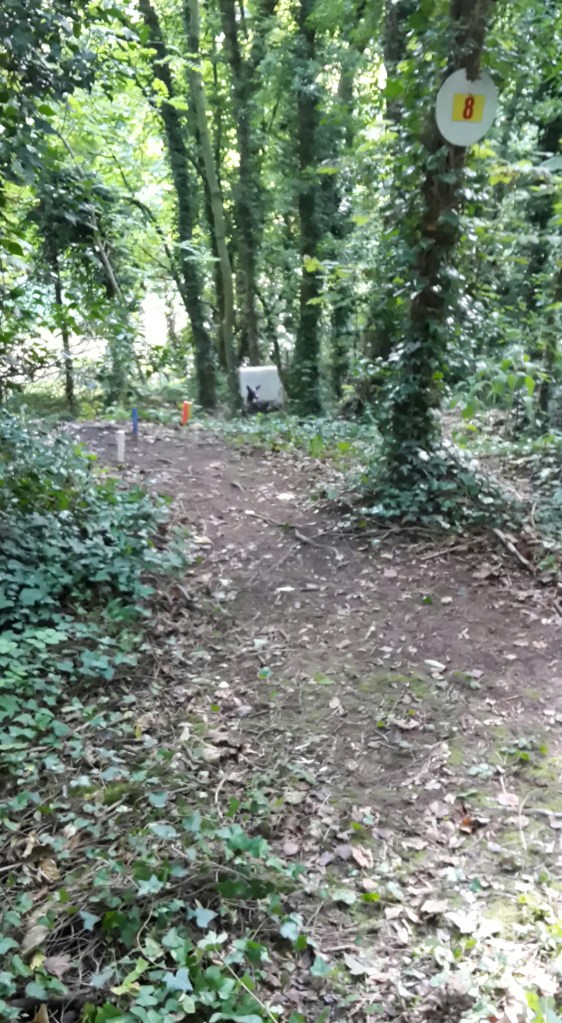 Target 8 - a downhill bedded 3D deer