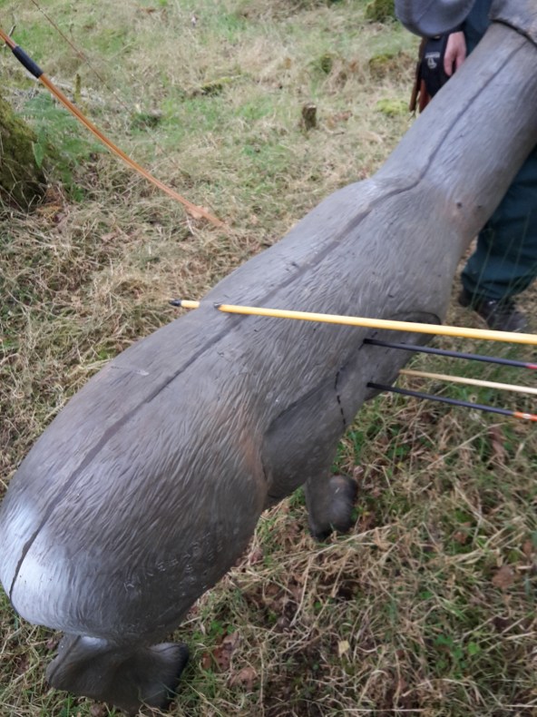 B course - lucky shot of the day