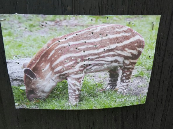 Example of the Prokill target face on the practice bosses