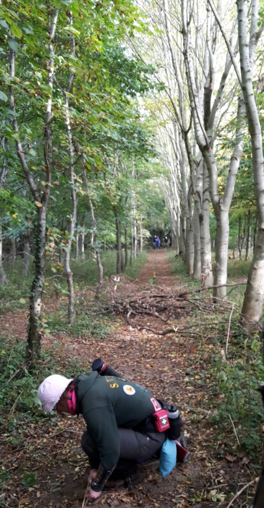 View back to the shooting group on red peg